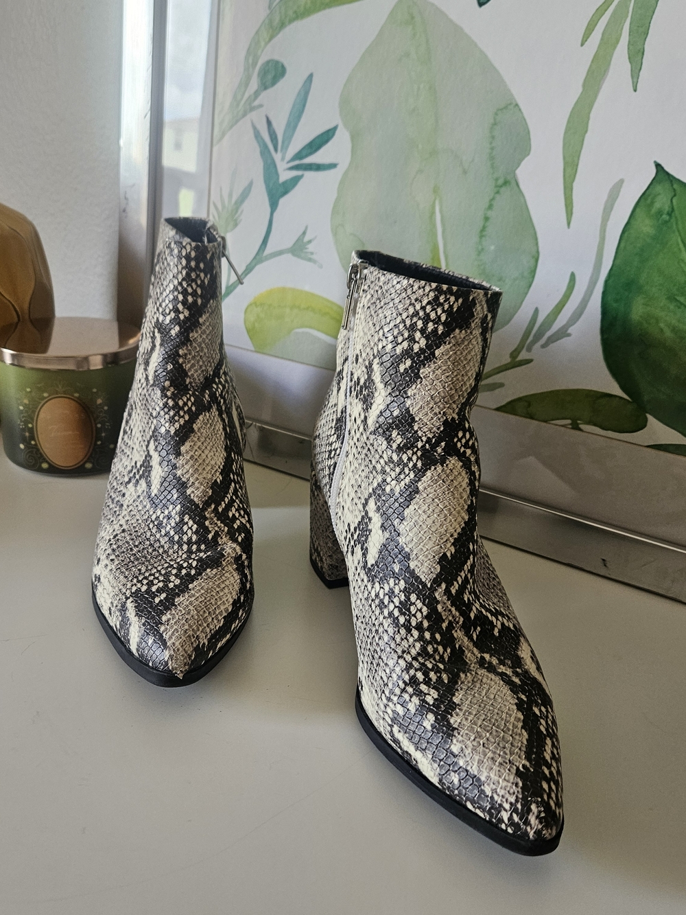Madden Girl Snake-Print Ankle Boots in Black and Cream